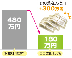 プロライト製 無電極ランプのエコ太郎なら電気代が年間300万もお得！！